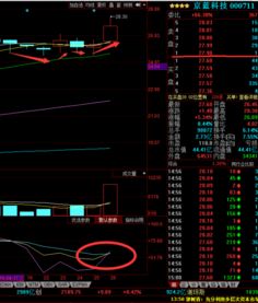 京藍科技（000711）重磅消息流出 計算機軟硬件技術開發迎來新機遇