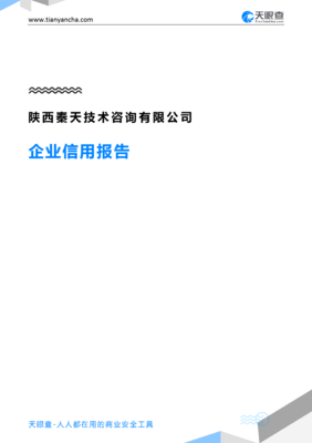 陜西秦天技術咨詢(企業信用報告)- 天眼查